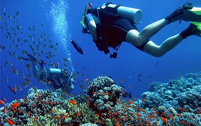 Kroatien Reisebericht Tauchen